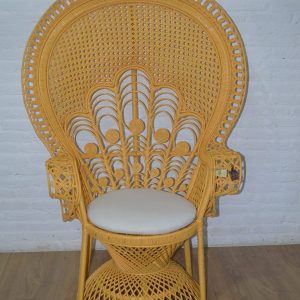 [10100-] Peacock Chair
