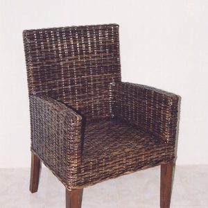 [1469-sb] Diva AC Sarbuy