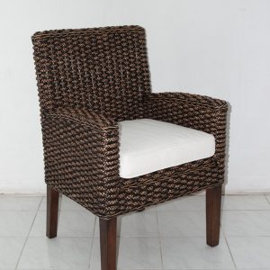 [1469-wg] Diva AC Water Hyacinth