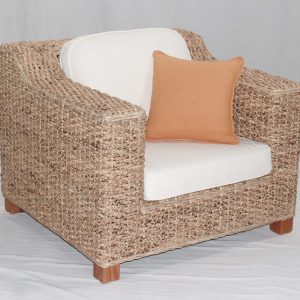 [1532-wg] Reky AC Water Hyacinth