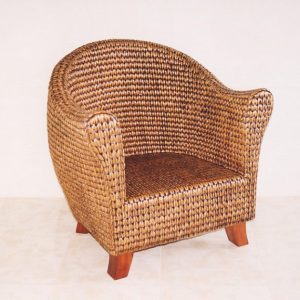 [1542-eb] Bode AC Water Hyacinth