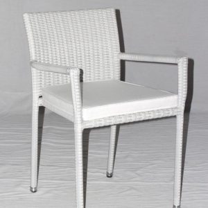 [1881-P] Uyakuya Arm Chair PLastic
