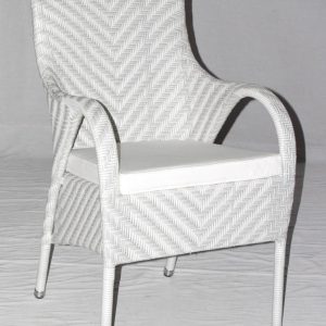 [1882-P] Ayodja Arm Chair Plastic