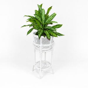 Finna High Planter (white); with cane bowl & tin with plant