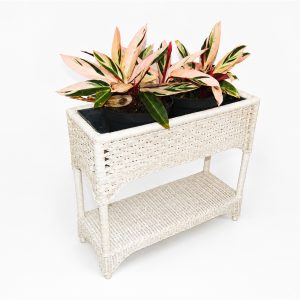 Rectangular Window Box Plant; with tin & straight legs; with plant